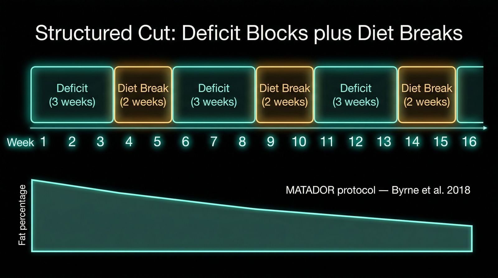 Structured Cut: Deficit Blocks + Diet Breaks (MATADOR Protocol)