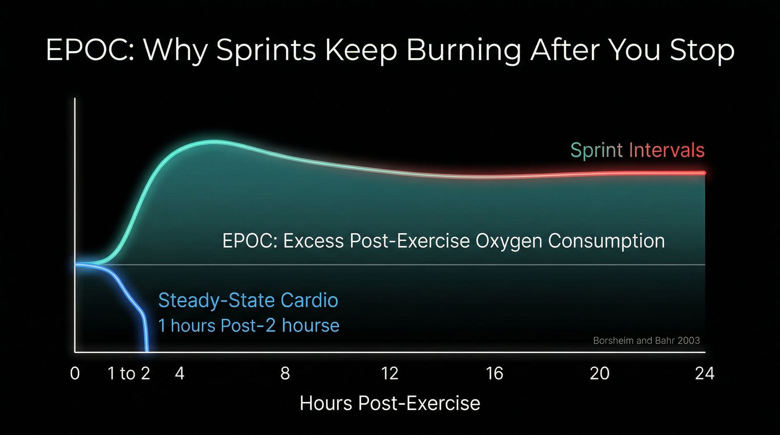 EPOC: Why Sprints Keep Burning After You Stop