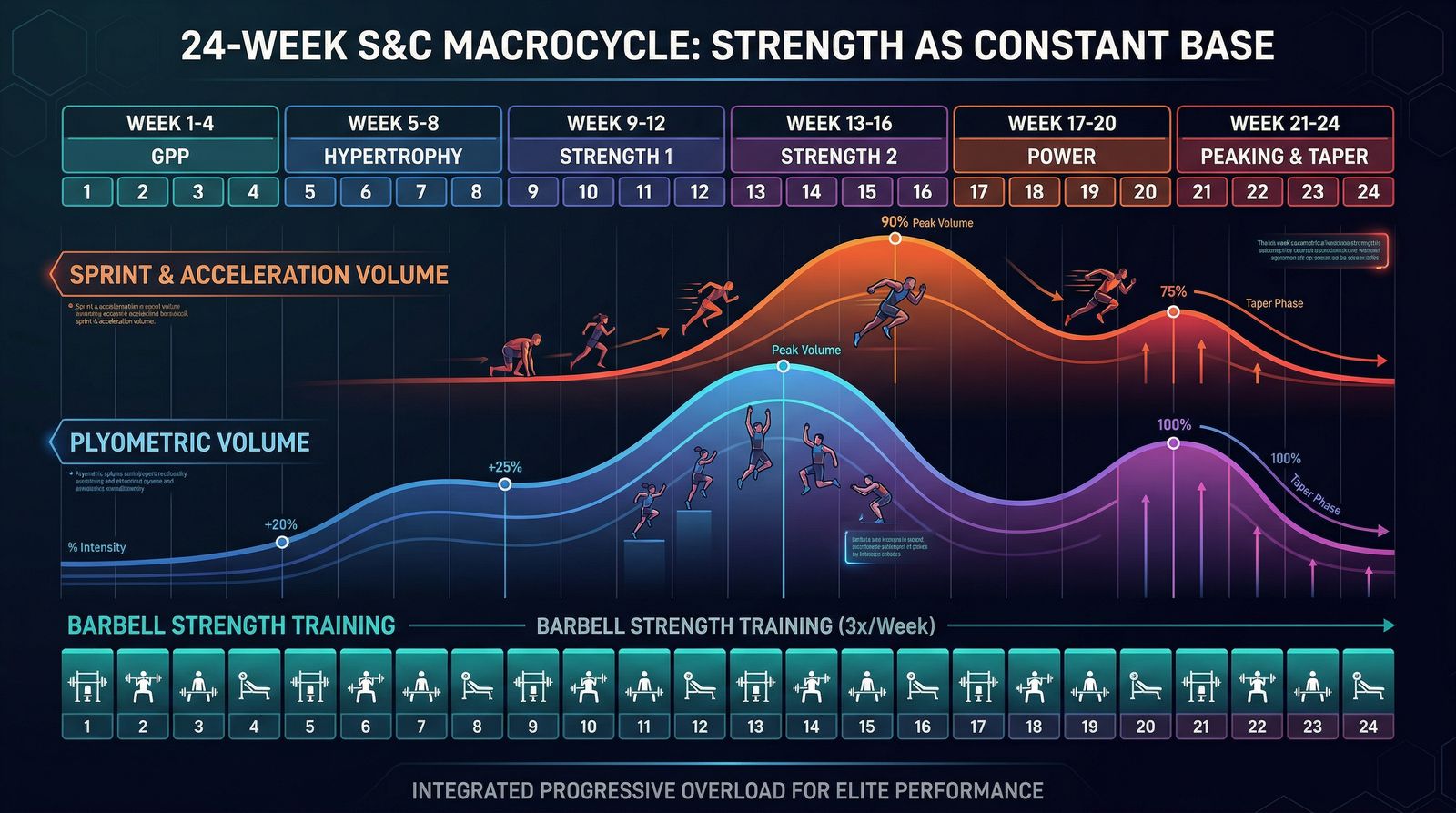 24-Week S&C Macrocycle: Strength as Constant Base